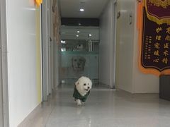 -谐和贝康宠物医院24小时·宠保定点(急重症转诊中心)