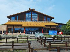 -宁波杭州湾国家湿地公园