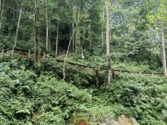 -青城山