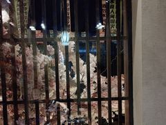 -三月居酒屋(青年大街店)