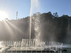 -广州白江湖森林公园