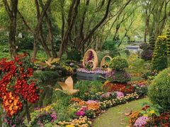 -上海共青森林公园