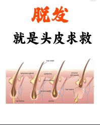 -Bollins波林丝•专研护发中心