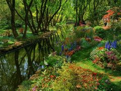 -上海共青森林公园