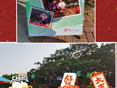 -广州长隆飞鸟乐园