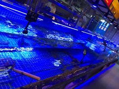 -渔民船说·北塘海鲜·天津菜·海肠捞饭(北塘古镇店)