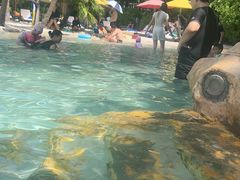 -Waterfall瀑布湾优健源(华侨城店)