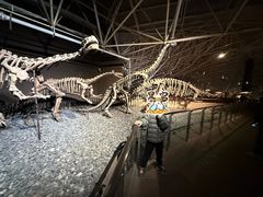 -世界恐龙谷景区