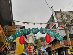 -猫咪博物馆(顶澳仔猫街店)