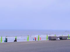 -日照海滨国家森林公园