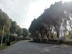 -九里河湿地公园