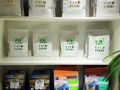 -青奢宠物·青奢猫舍