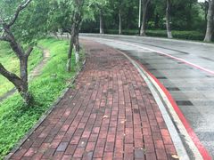 -水濂山水库景点停车场