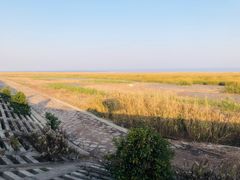 -南汇嘴观海公园