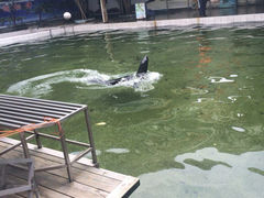iphone_upload_pic-福州动物园