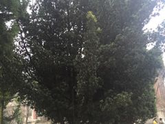 -荆州博物馆