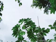 -天河儿童公园
