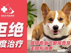 -御宝贝24h宠物医院·转诊中心·CT核磁血透中心(厦门总院)