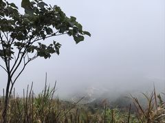 -大罗山风景区