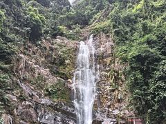 -鼎湖山风景区