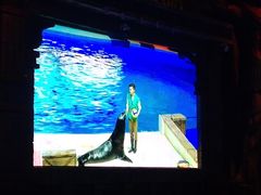 -波塞冬旅游度假区