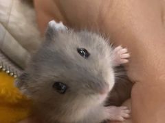 -GalaCity上海歌城(杨浦百联店)