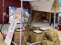 -上海长风大悦城