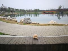 -白鹭湾湿地公园