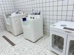 -BABIT巴比特宠物(MOMOPARK店)