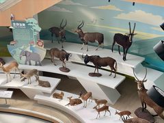 -陕西自然博物馆