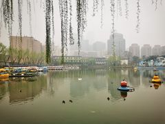 -团结湖公园