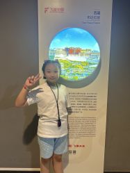 -飞览天下沉浸式飞行体验(北京旗舰店)
