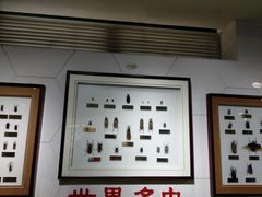-上海昆虫博物馆