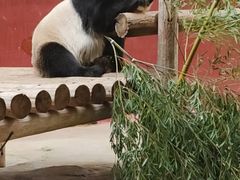 -杭州野生动物世界