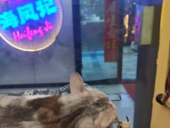 -谜盒子奇幻密室(南屏店)