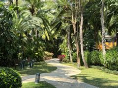 -三亚湾海居铂尔曼度假酒店