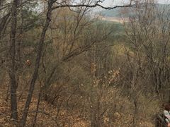 -帽儿山国家森林公园