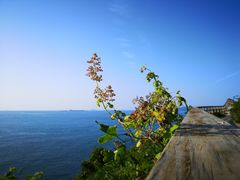 -青岛海滨风景区