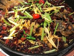 -老板恋上鱼(高新万达店)