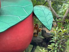-深圳野生动物园