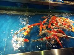 -大明湖海底世界