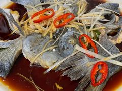 -煲来饱去冷水鱼