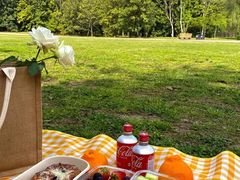 -上海共青森林公园