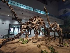 -自贡恐龙博物馆