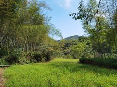 -宁波浙东大竹海景区