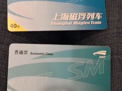 -龙阳路磁悬浮列车总站-停车场