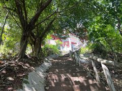 -龙泉洞(沙坪坝区)