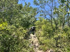 -阳台山自然风景区