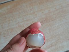 -杨果果(渝北店)