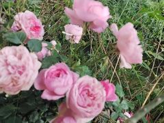 -大妙火锅·非物质文化遗产(东湖公园店)